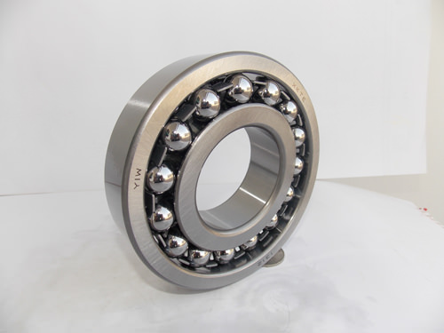 1310 Bearing